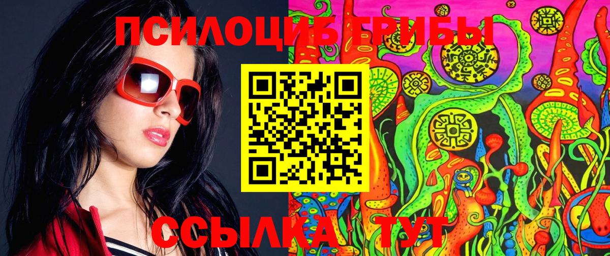 цена наркотик  Вход с VPN  Псилоцибиновые грибы Psilocybine cubensis  Ярцево  Псилоцибиновые грибы MAGIC MUSHROOMS 